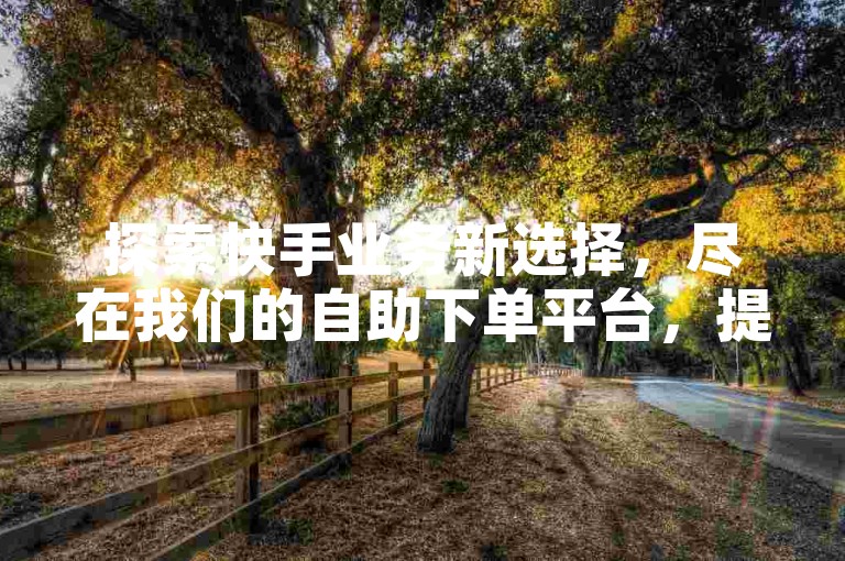 探索快手业务新选择，尽在我们的自助下单平台，提供全网最具竞争力的价格。