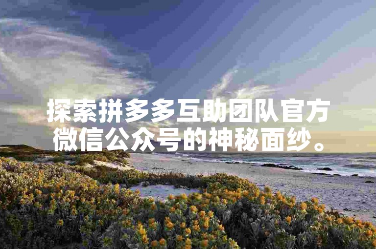 探索拼多多互助团队官方微信公众号的神秘面纱。