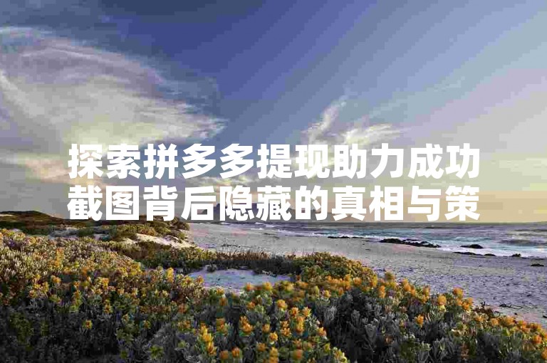探索拼多多提现助力成功截图背后隐藏的真相与策略。