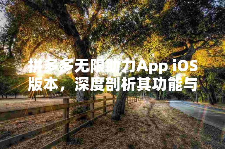 拼多多无限助力App iOS版本，深度剖析其功能与用户体验。