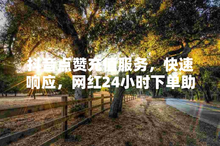抖音点赞充值服务，快速响应，网红24小时下单助手，提供全网最低价的抖音业务。