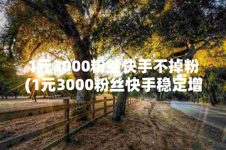 1元3000粉丝快手不掉粉(1元3000粉丝快手稳定增粉)
