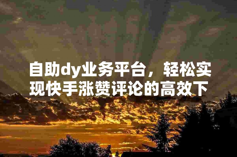 自助dy业务平台，轻松实现快手涨赞评论的高效下单。