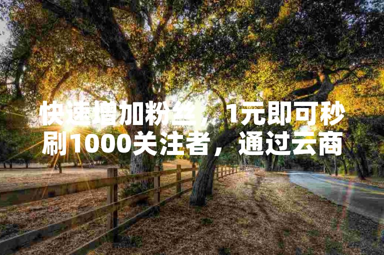 快速增加粉丝，1元即可秒刷1000关注者，通过云商城轻松在线下单。