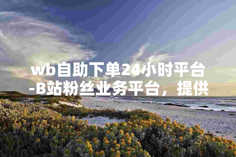 wb自助下单24小时平台-B站粉丝业务平台，提供全天候不间断服务。