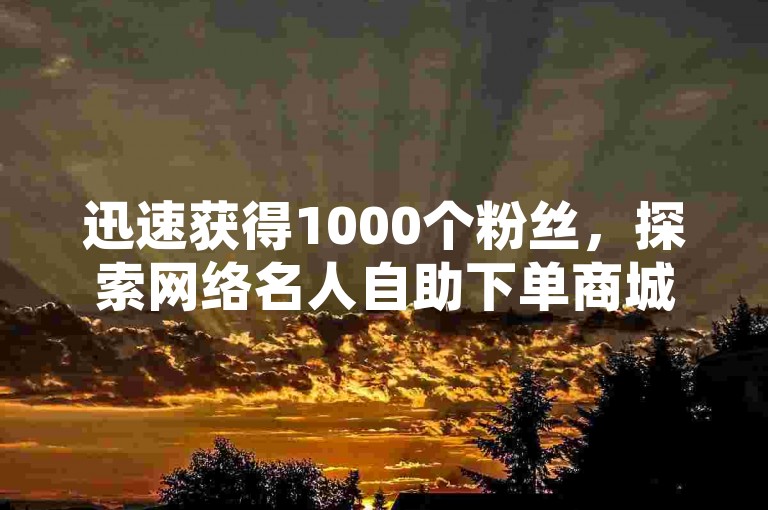 迅速获得1000个粉丝，探索网络名人自助下单商城 - 快手全天候自助免费下单服务 - 抖音低成本24小时下单平台。