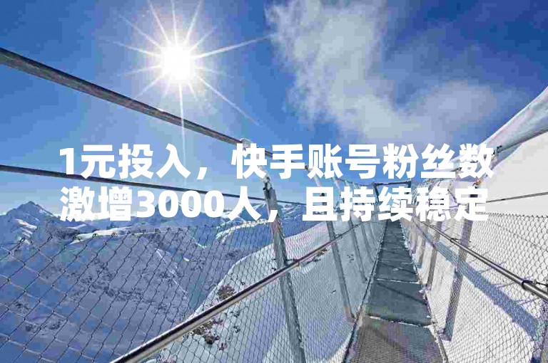 1元投入，快手账号粉丝数激增3000人，且持续稳定增长不流失。