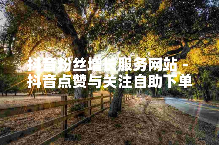 抖音粉丝增长服务网站 - 抖音点赞与关注自助下单平台微信