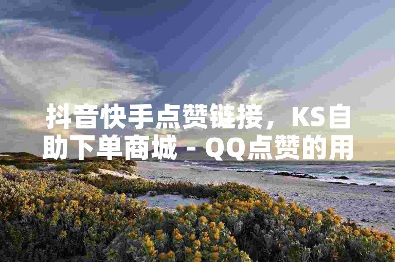 抖音快手点赞链接，KS自助下单商城 - QQ点赞的用途 - KS业务下单平台最新探索无界。