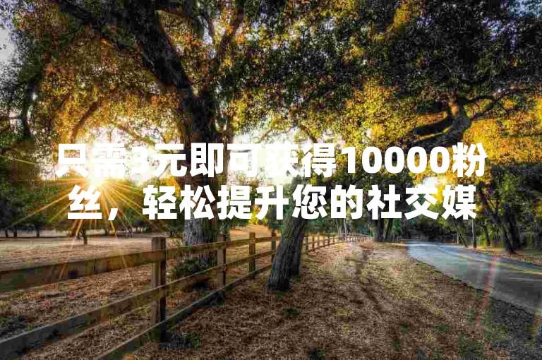 只需3元即可获得10000粉丝，轻松提升您的社交媒体影响力！