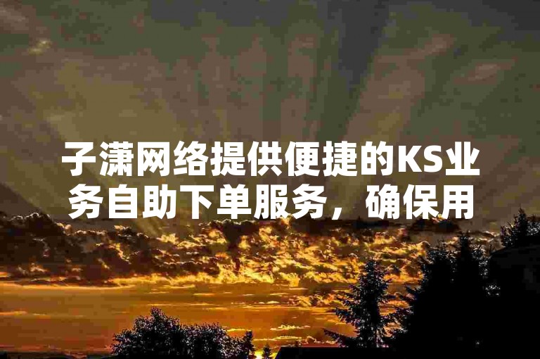 子潇网络提供便捷的KS业务自助下单服务，确保用户享受最低价格。