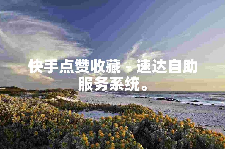 快手点赞收藏 - 速达自助服务系统。