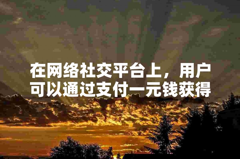 在网络社交平台上，用户可以通过支付一元钱获得一千次点赞的服务，这种自助平台为用户提供了便捷的点赞增长方式。