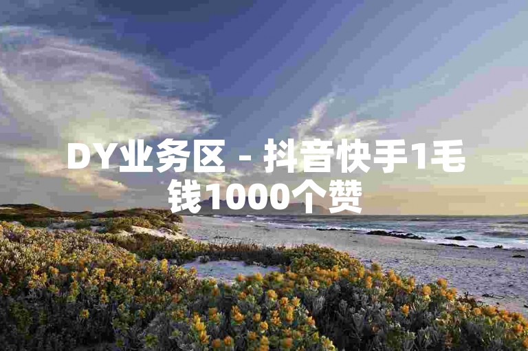 DY业务区 - 抖音快手1毛钱1000个赞