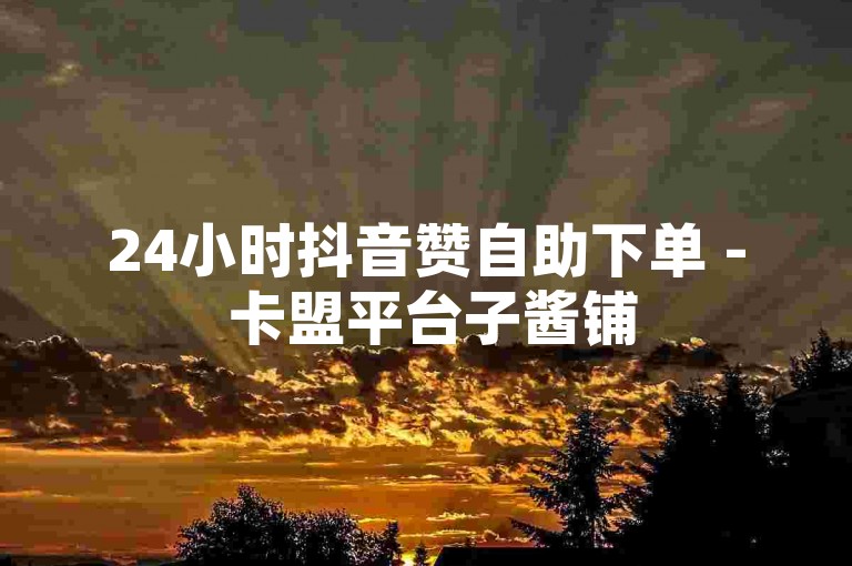 24小时抖音赞自助下单 - 卡盟平台子酱铺