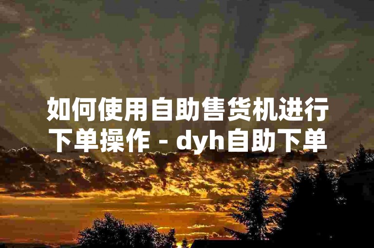 如何使用自助售货机进行下单操作 - dyh自助下单指南