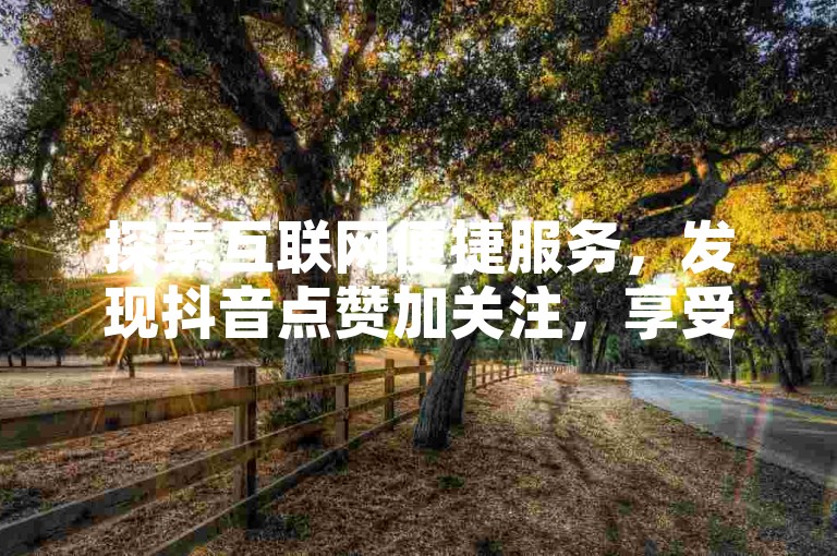 探索互联网便捷服务，发现抖音点赞加关注，享受超值优惠。