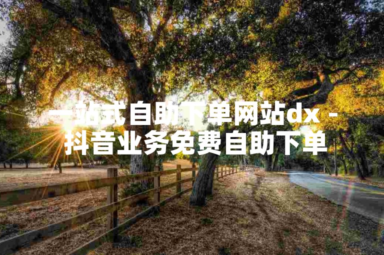 一站式自助下单网站dx - 抖音业务免费自助下单