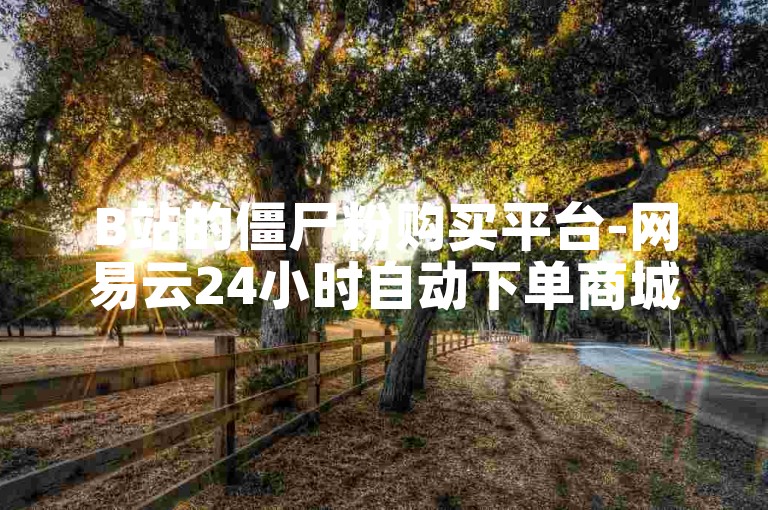 B站的僵尸粉购买平台-网易云24小时自动下单商城。