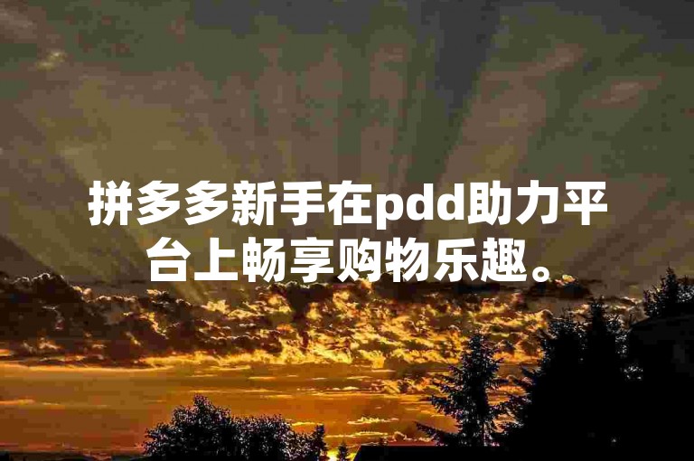 拼多多新手在pdd助力平台上畅享购物乐趣。