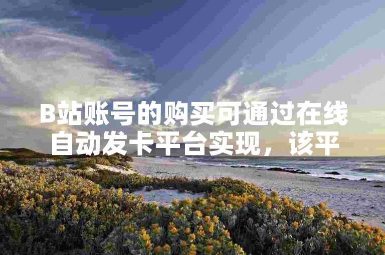 B站账号的购买可通过在线自动发卡平台实现，该平台提供24小时自助下单服务。