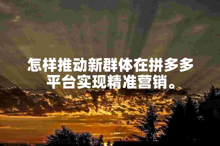 怎样推动新群体在拼多多平台实现精准营销。