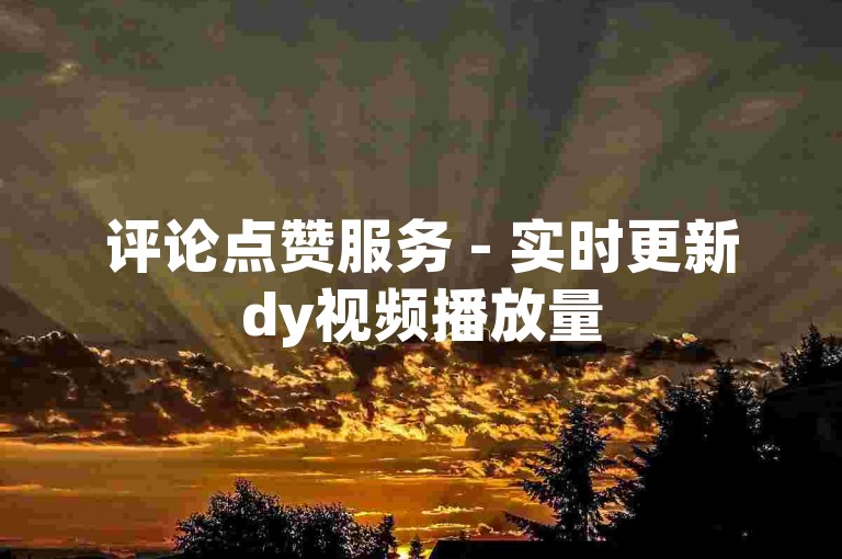 评论点赞服务 - 实时更新dy视频播放量