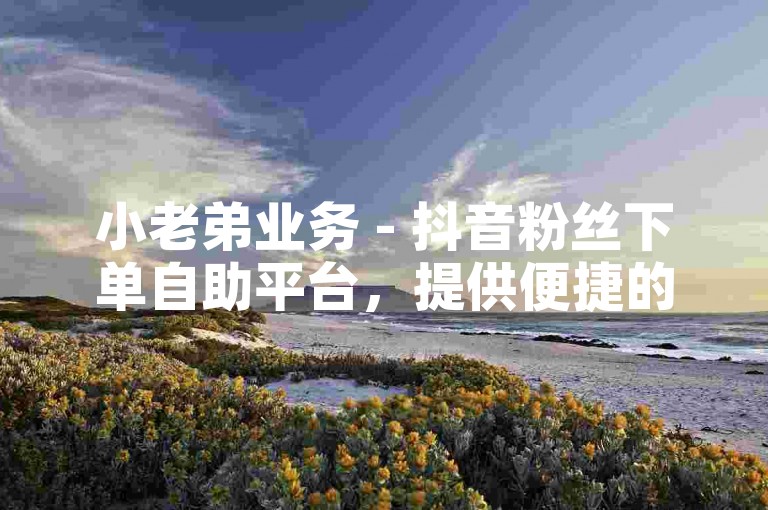 小老弟业务 - 抖音粉丝下单自助平台，提供便捷的粉丝增长服务。
