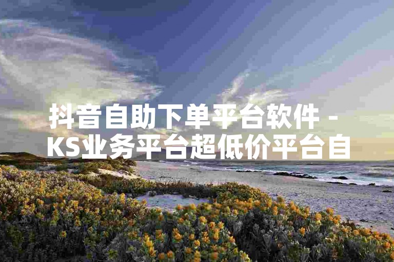 抖音自助下单平台软件 - KS业务平台超低价平台自助下单