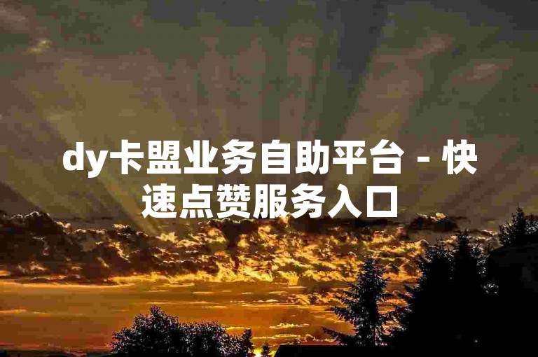 dy卡盟业务自助平台 - 快速点赞服务入口