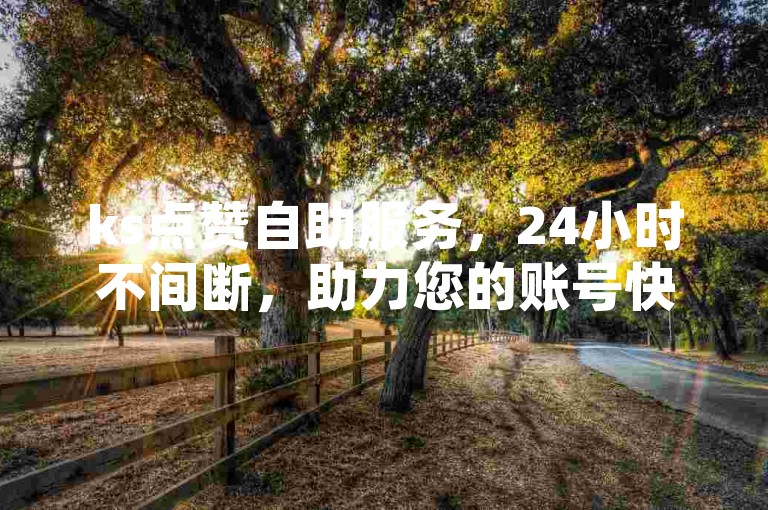 ks点赞自助服务，24小时不间断，助力您的账号快速增粉，完全免费使用！