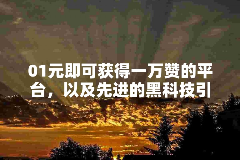 01元即可获得一万赞的平台，以及先进的黑科技引流工具，都是网络营销的得力助手。