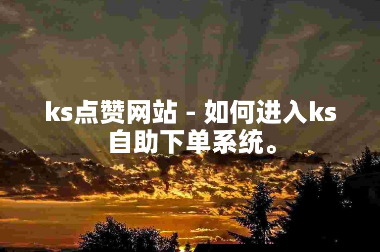 ks点赞网站 - 如何进入ks自助下单系统。