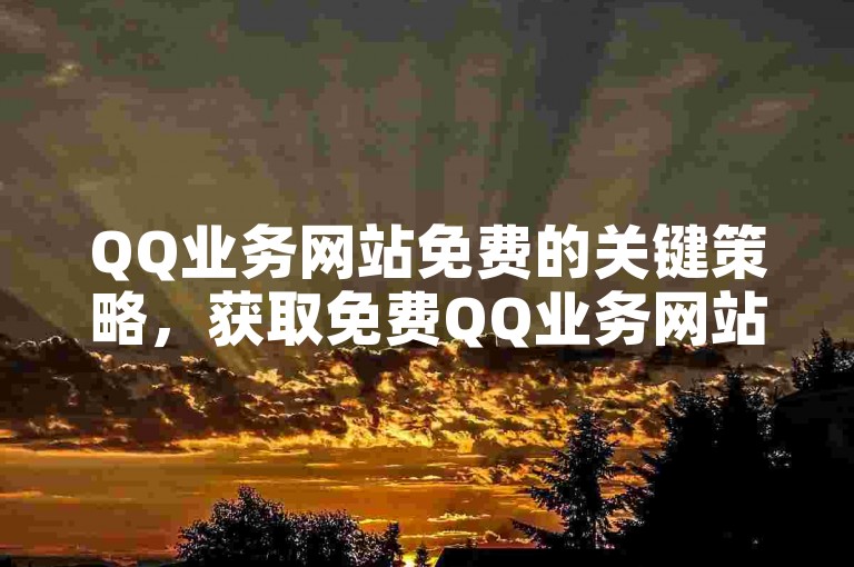 QQ业务网站免费的关键策略，获取免费QQ业务网站资源的详尽指南与心得分享！新手必读！