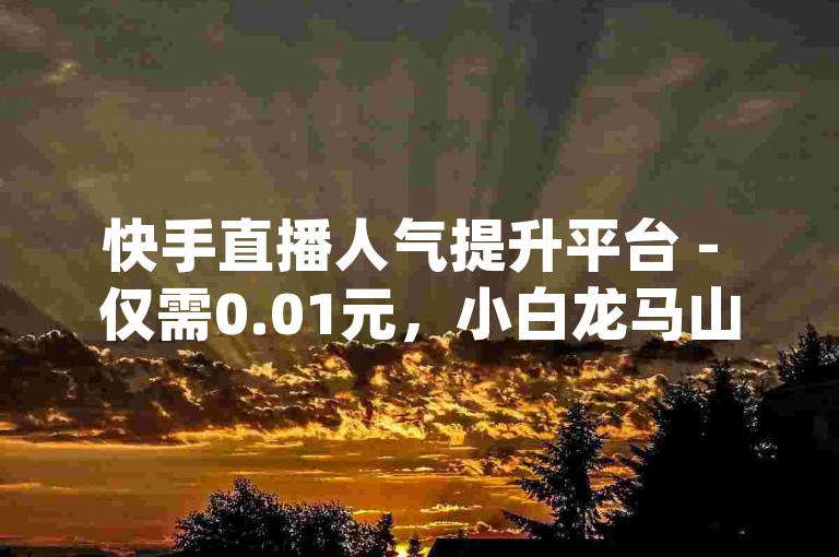 快手直播人气提升平台 - 仅需0.01元，小白龙马山科技有限公司，快手点赞助手软件 - ks服务优惠自助购买分享 - dy服务下单全天候最实惠