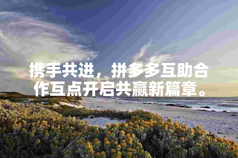 携手共进，拼多多互助合作互点开启共赢新篇章。