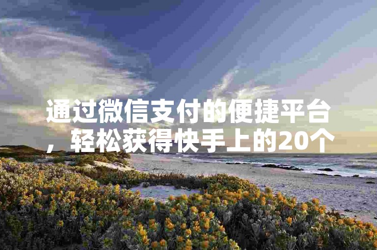 通过微信支付的便捷平台，轻松获得快手上的20个点赞。