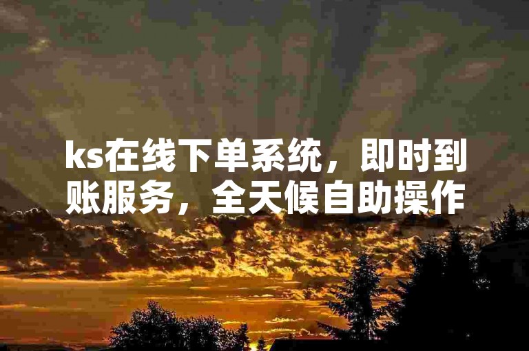 ks在线下单系统，即时到账服务，全天候自助操作，全网最具性价比ks。