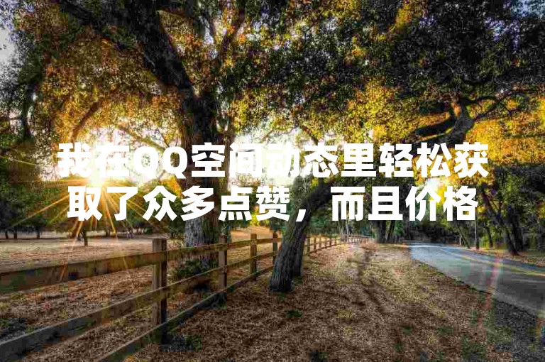 我在QQ空间动态里轻松获取了众多点赞，而且价格实惠。