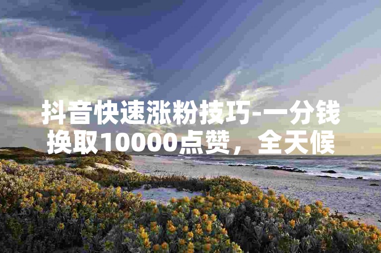抖音快速涨粉技巧-一分钱换取10000点赞，全天候自动订单平台。