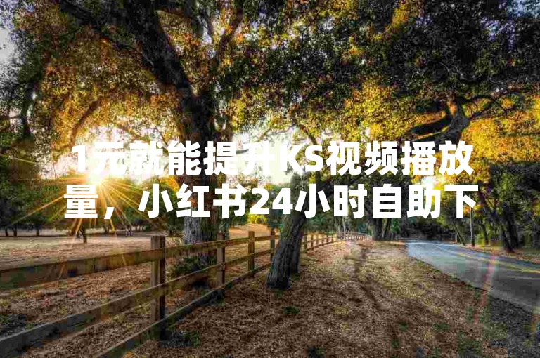 1元就能提升KS视频播放量，小红书24小时自助下单平台助力内容传播。