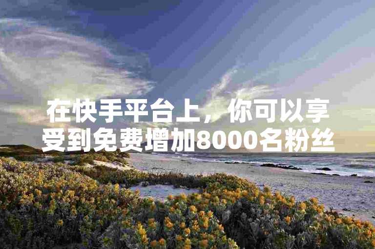 在快手平台上，你可以享受到免费增加8000名粉丝的服务，并且只需支付1元就能获得100个赞。