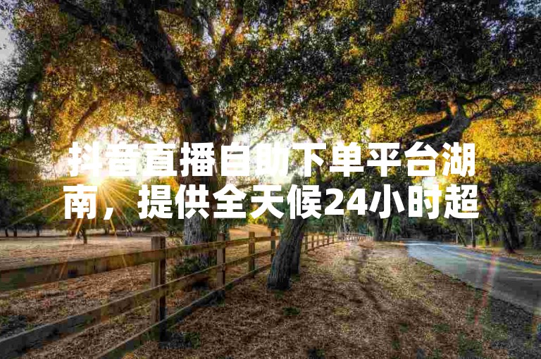 抖音直播自助下单平台湖南，提供全天候24小时超低价自助下单服务。