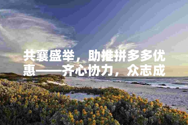 共襄盛举，助推拼多多优惠——齐心协力，众志成城。