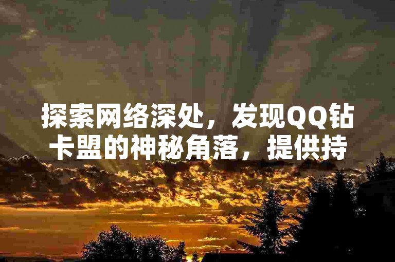 探索网络深处，发现QQ钻卡盟的神秘角落，提供持久的服务体验。