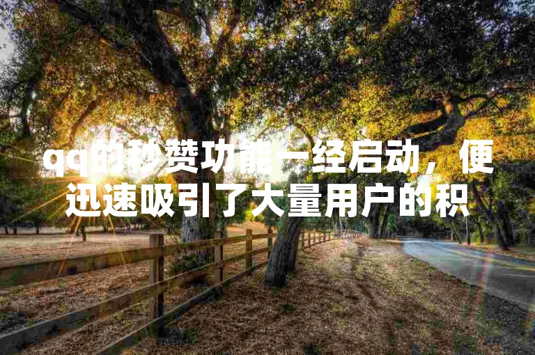 qq的秒赞功能一经启动，便迅速吸引了大量用户的积极参与。