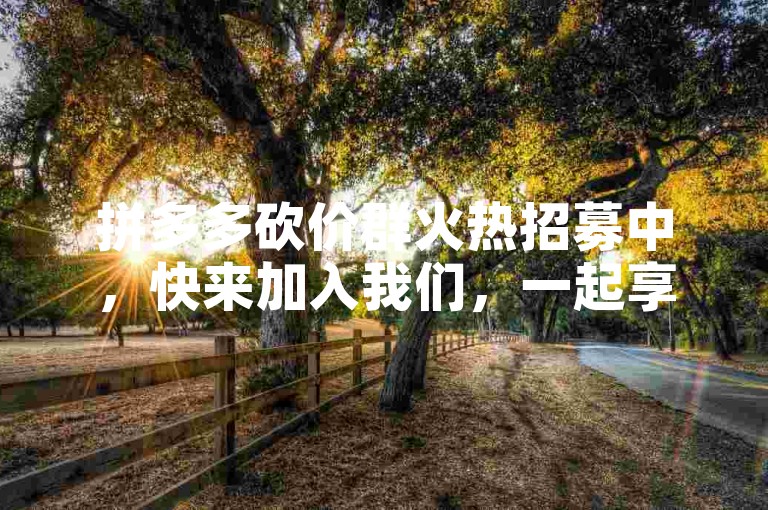拼多多砍价群火热招募中，快来加入我们，一起享受砍价乐趣！