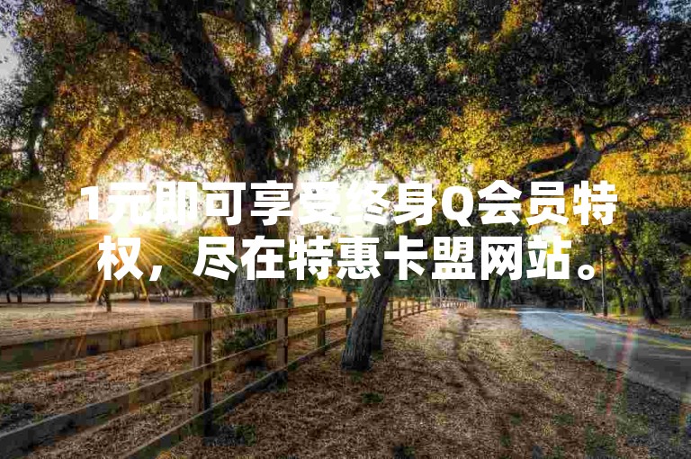 1元即可享受终身Q会员特权，尽在特惠卡盟网站。