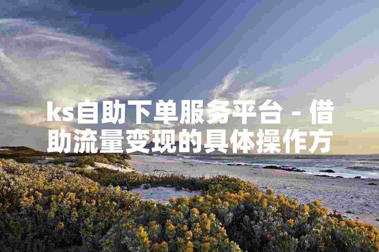 ks自助下单服务平台 - 借助流量变现的具体操作方法是什么