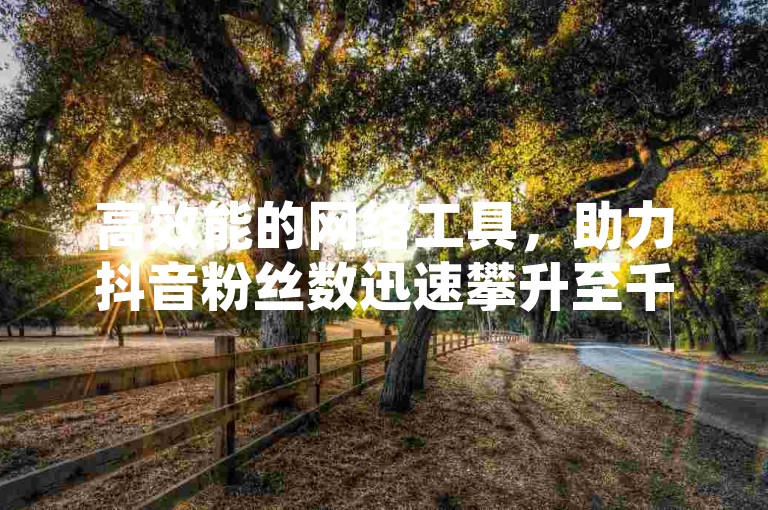 高效能的网络工具，助力抖音粉丝数迅速攀升至千人大关，同时快手与KS平台携手开启无限可能的探索之旅。